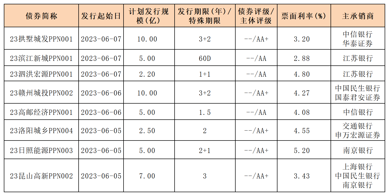 新發(fā)行債券_PPN.png